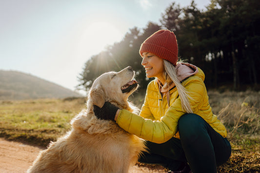 Exercise with Your Pets for Their Wellbeing and Disease Prevention