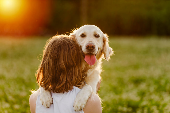 A furry companion facing a challenging battle with heart disease.